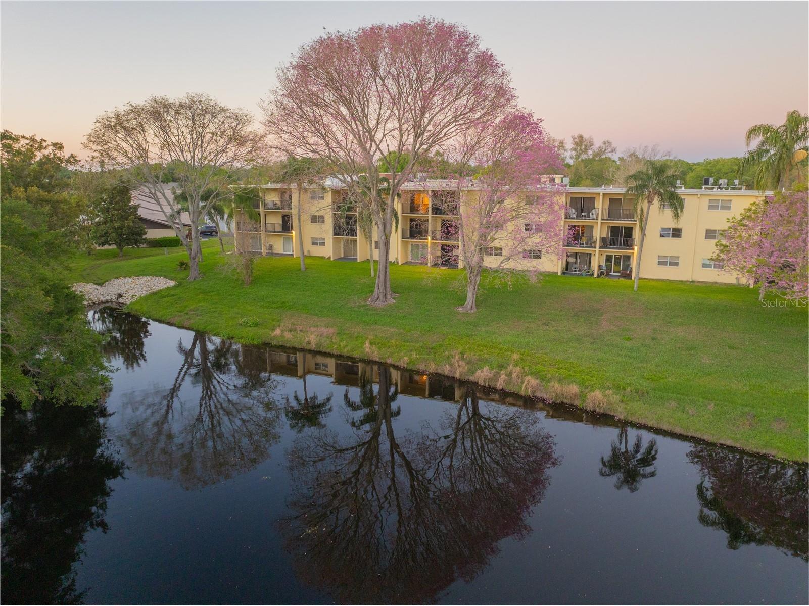 1450 Heather Ridge Boulevard #307 Dunedin FL 34698 TB8491283 image16