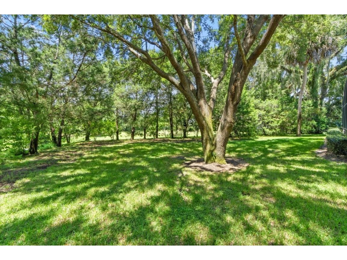 1450 Hidden Harbor Lane Kissimmee FL 34746 S5089426 image58