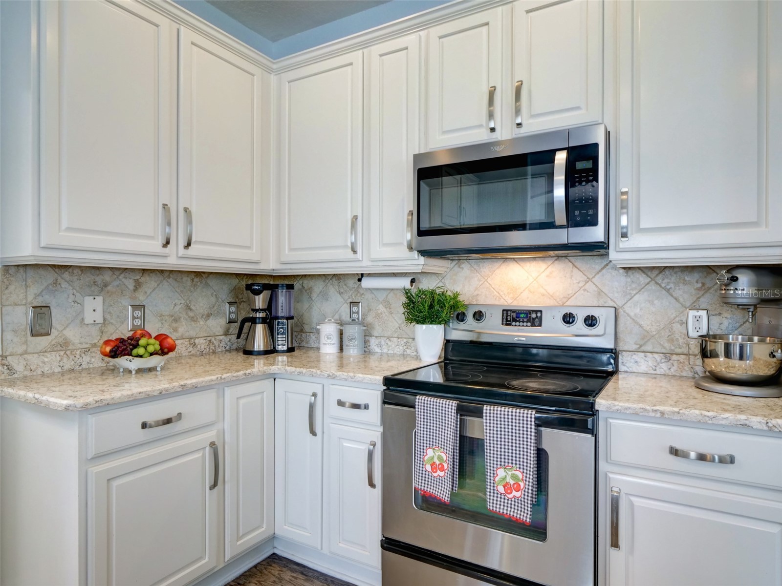 1450 Merion Drive Mount Dora FL 32757 O6383450 image10