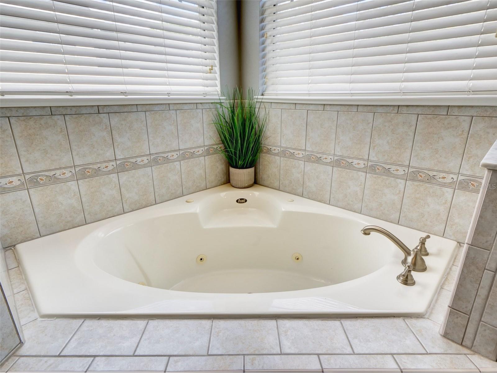 1450 Merion Drive Mount Dora FL 32757 O6383450 image18