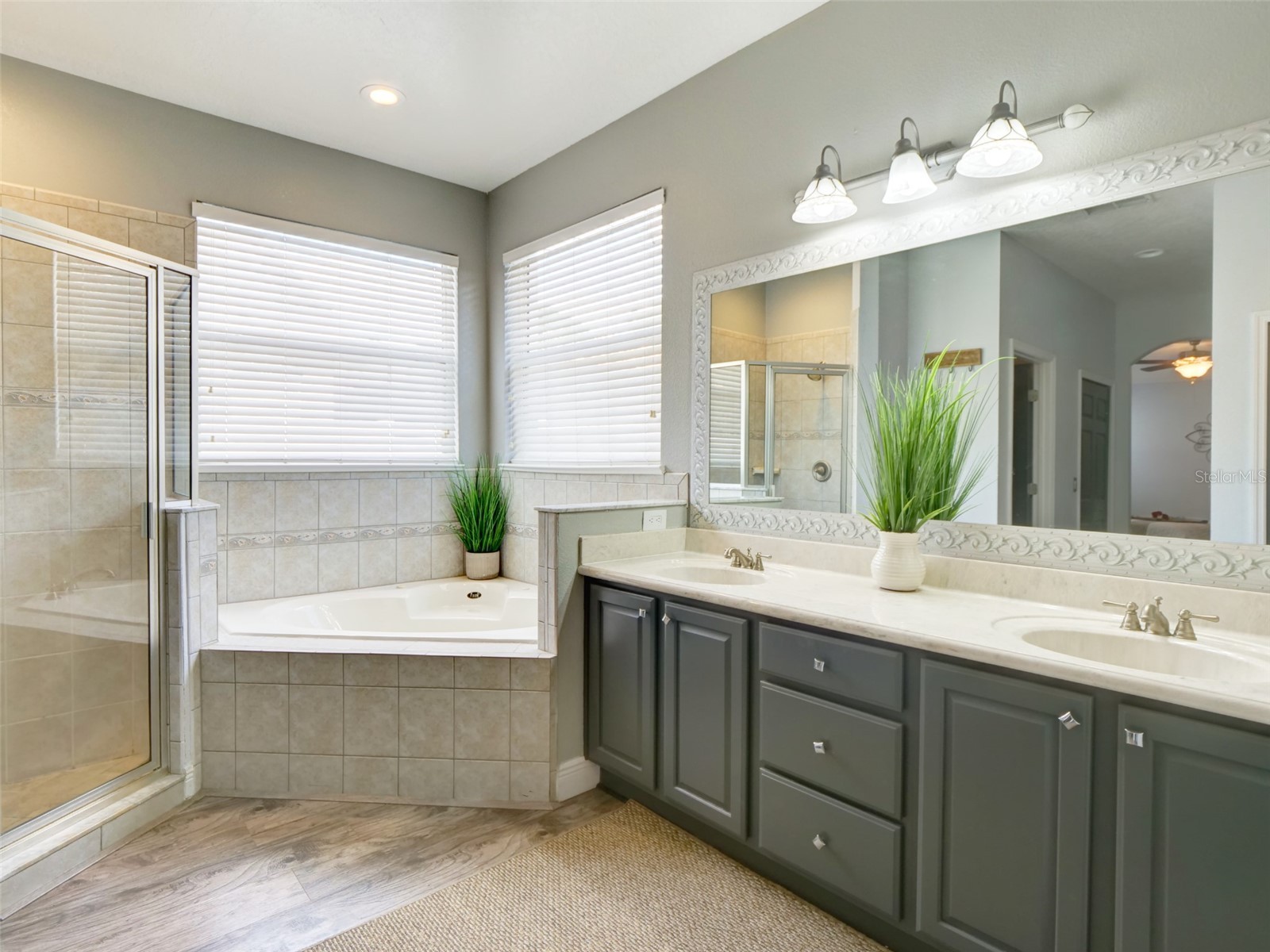 1450 Merion Drive Mount Dora FL 32757 O6383450 image19