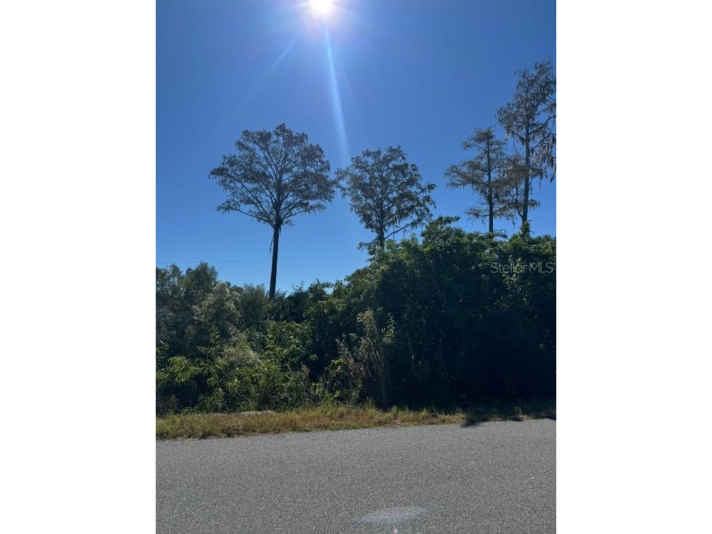 1450 Towton Street SE Palm Bay FL 32909 L4957212 image1