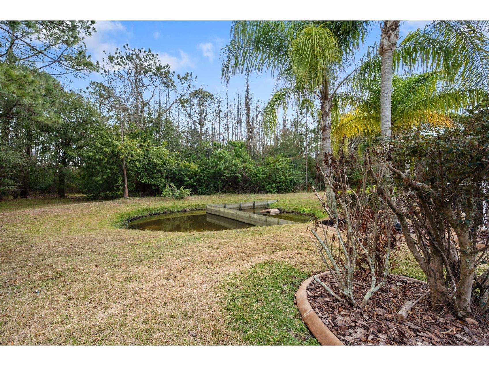 1450 Warrington Way Trinity FL 34655 W7883330 image41