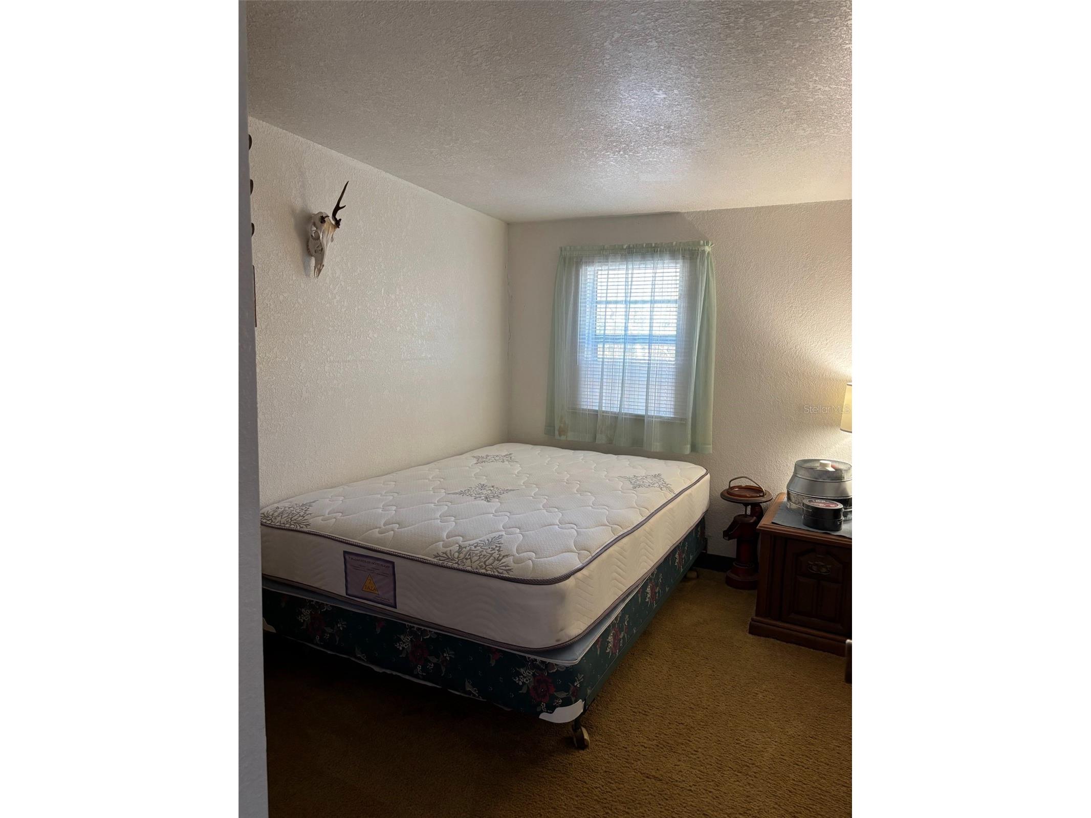 14500 NE 188th Place Fort Mc Coy FL 32134 OM719005 image15