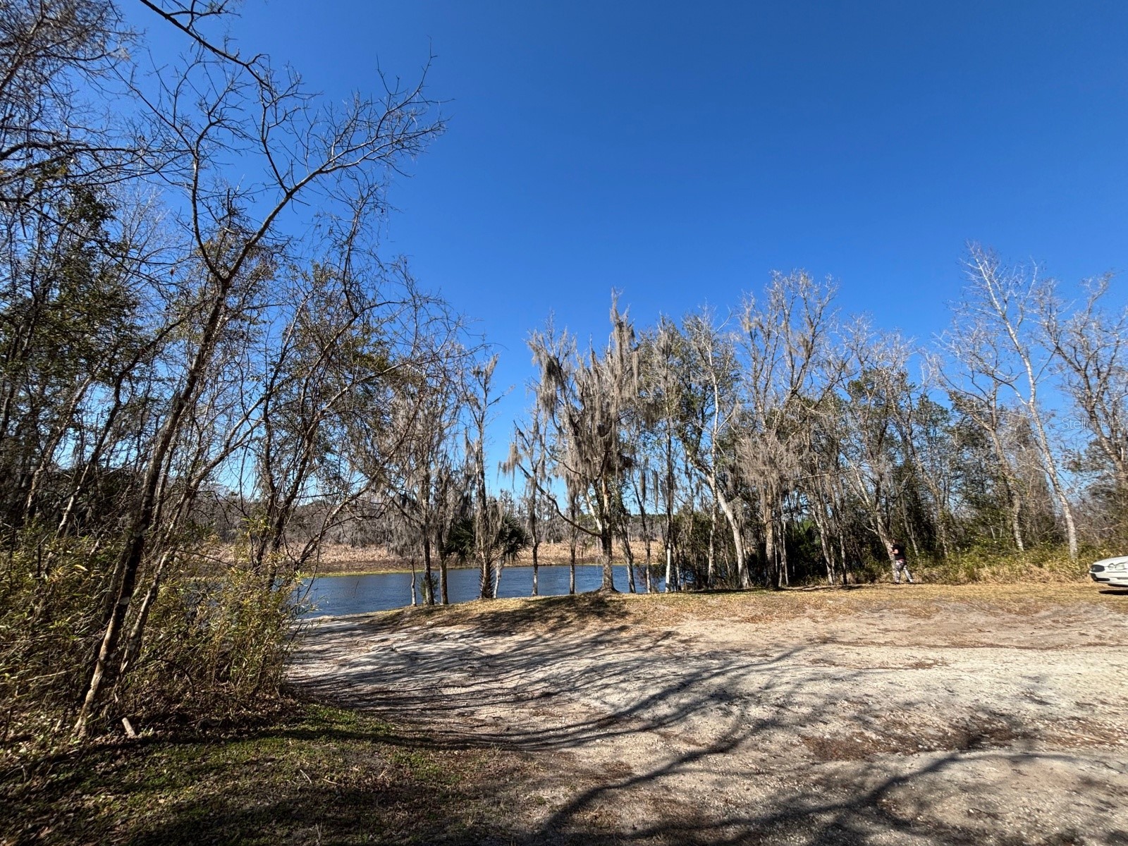 14500 NE 188th Place Fort Mc Coy FL 32134 OM719005 image36