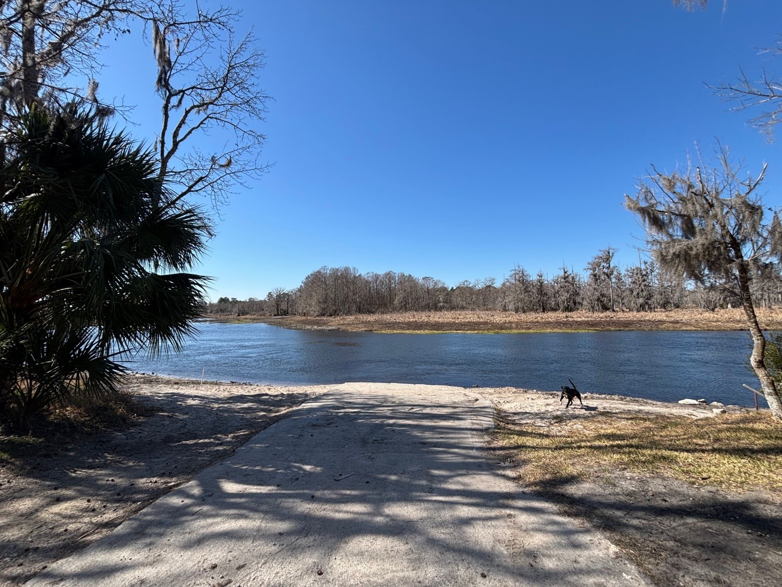 14500 NE 188th Place Fort Mc Coy FL 32134 OM719005 image37