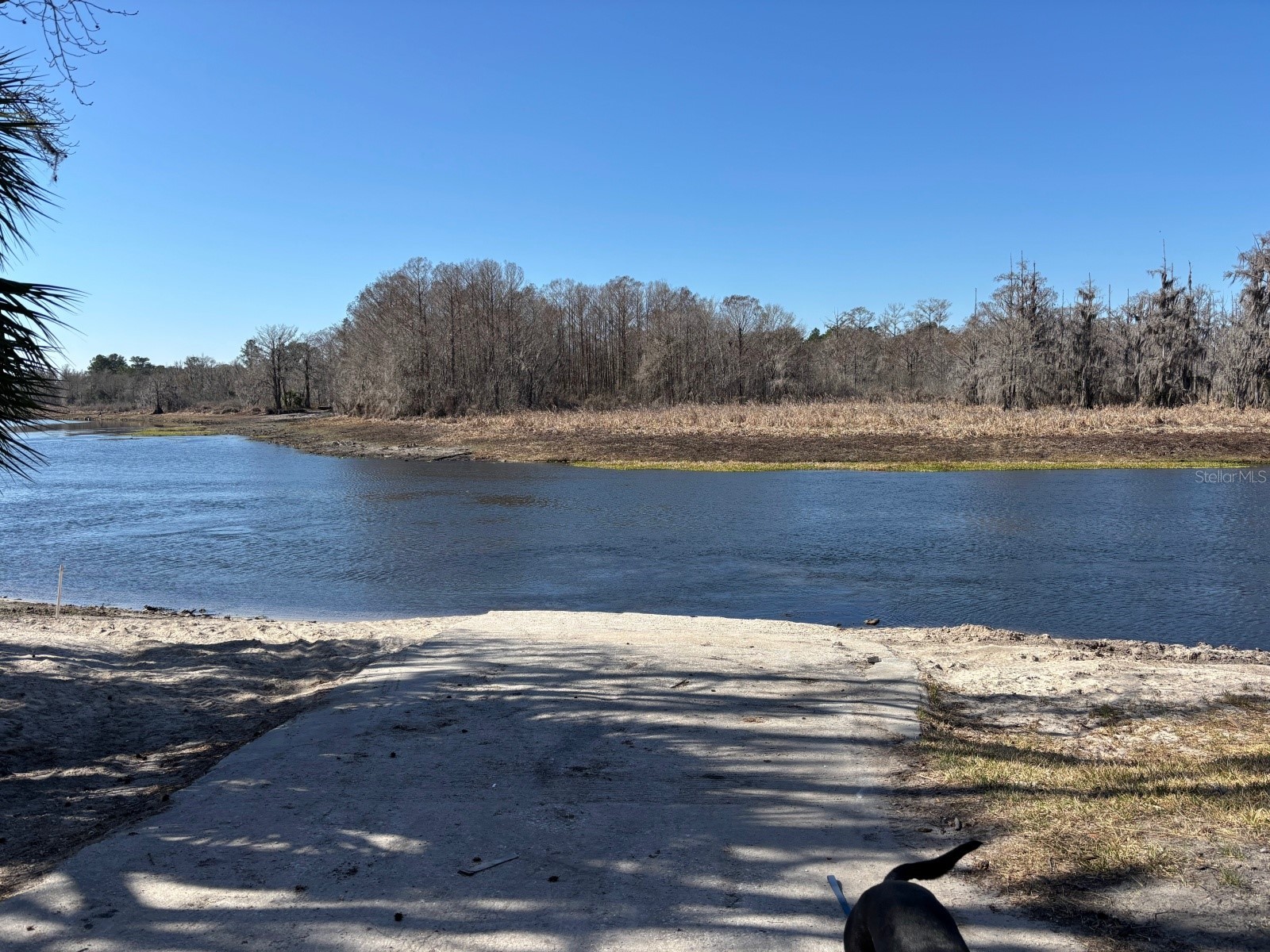 14500 NE 188th Place Fort Mc Coy FL 32134 OM719005 image4