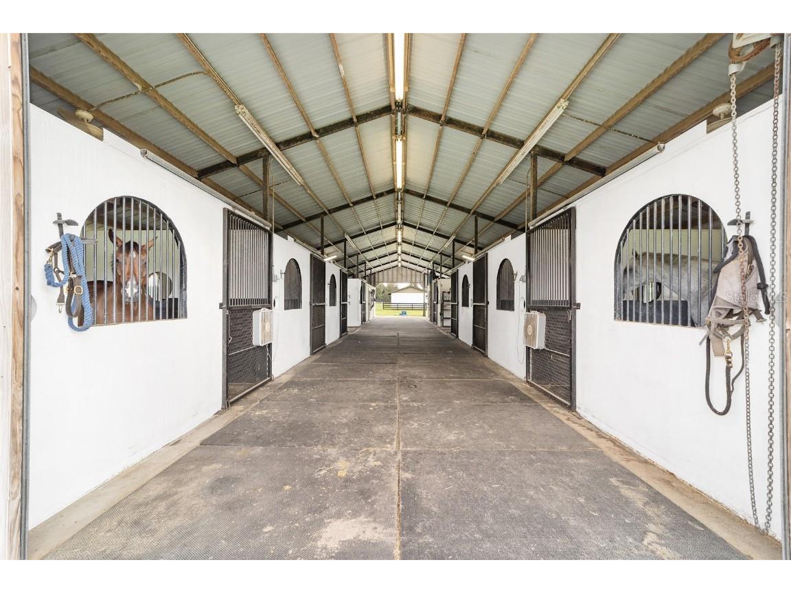 14500 NW Highway 464b Morriston FL 32668 OM704711 image56