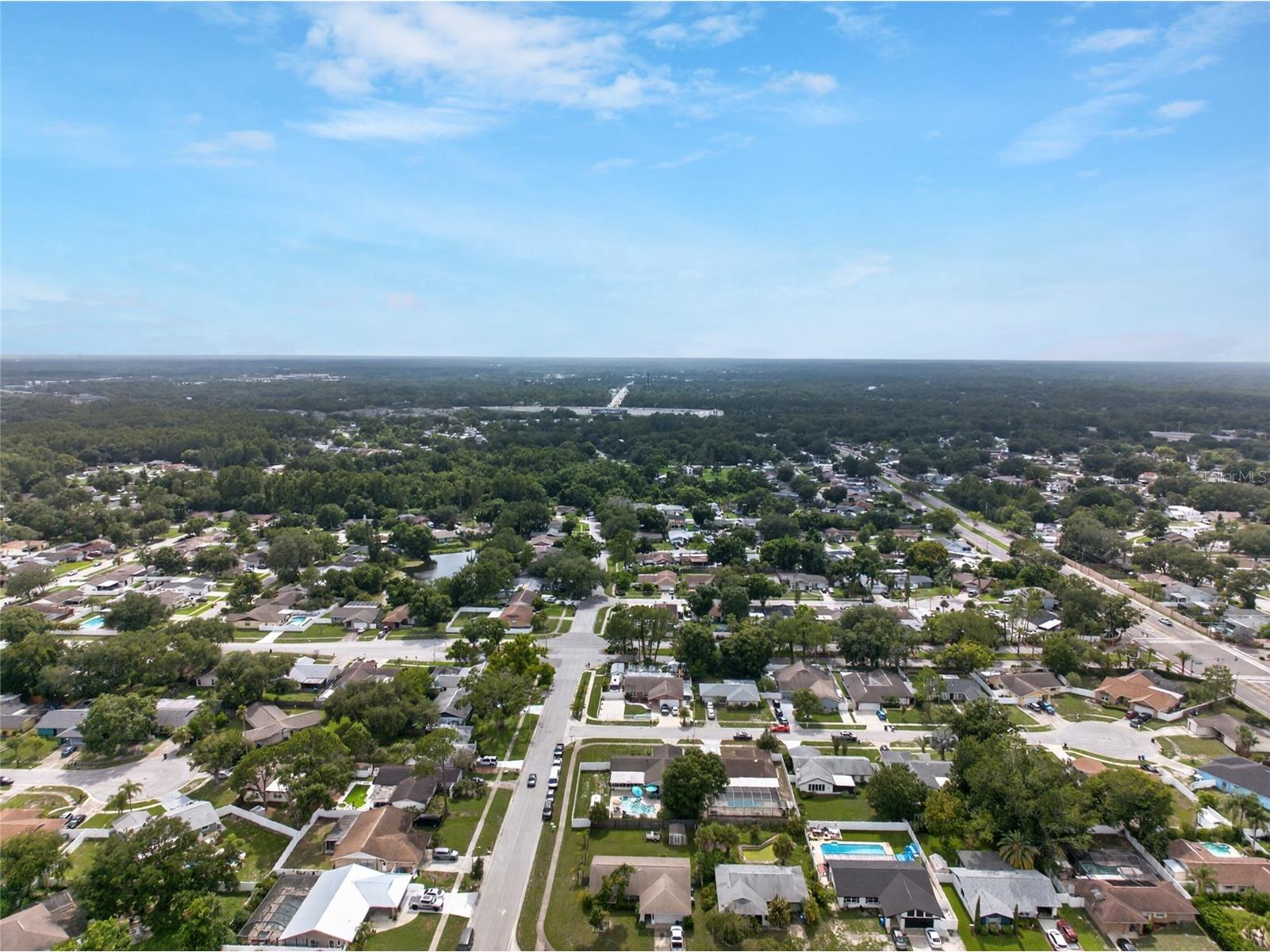 14501 Farm Hills Place Tampa FL 33625 TB8529745 image50