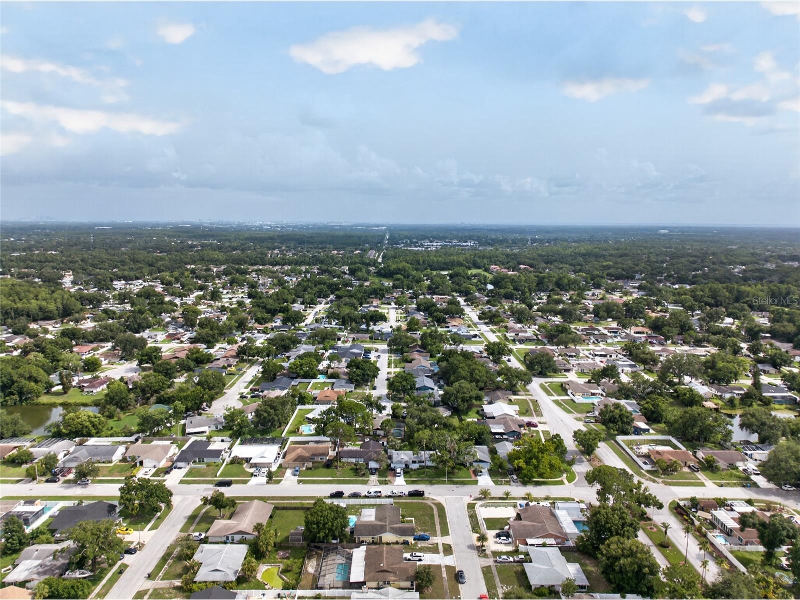 14501 Farm Hills Place Tampa FL 33625 TB8529745 image51