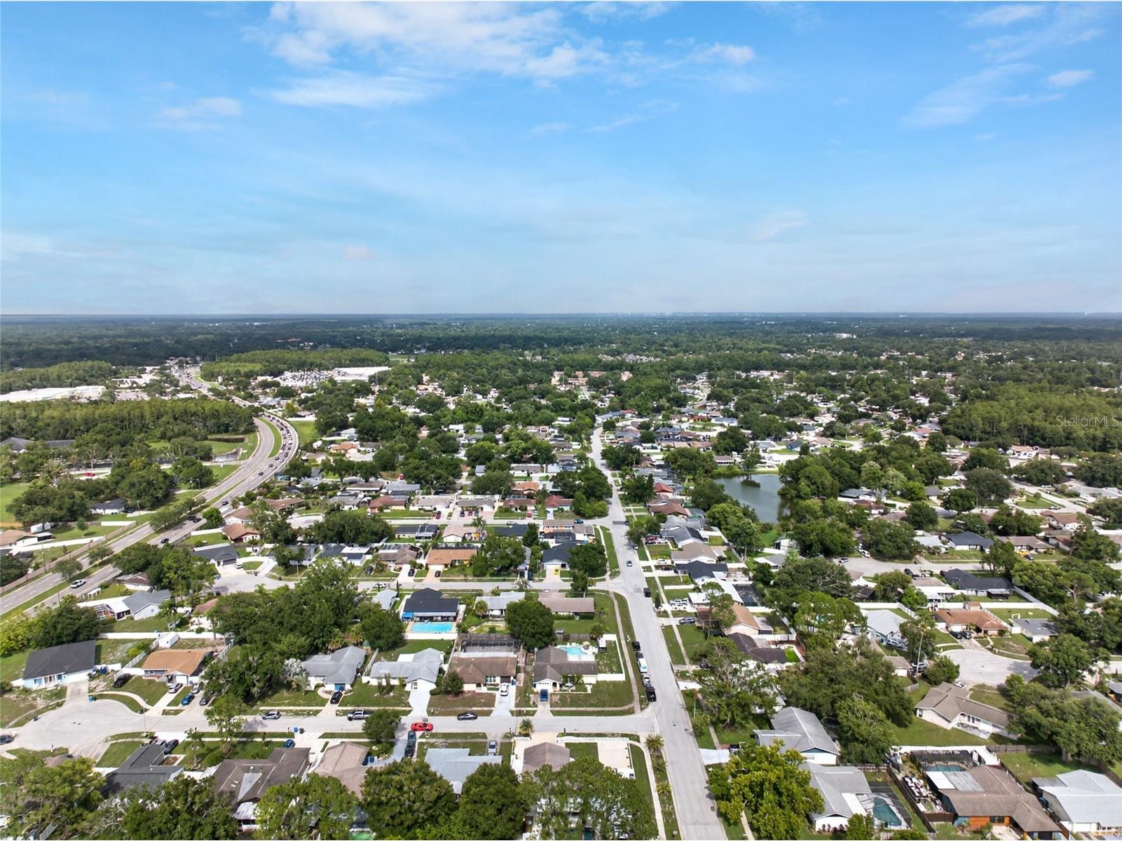 14501 Farm Hills Place Tampa FL 33625 TB8529745 image52
