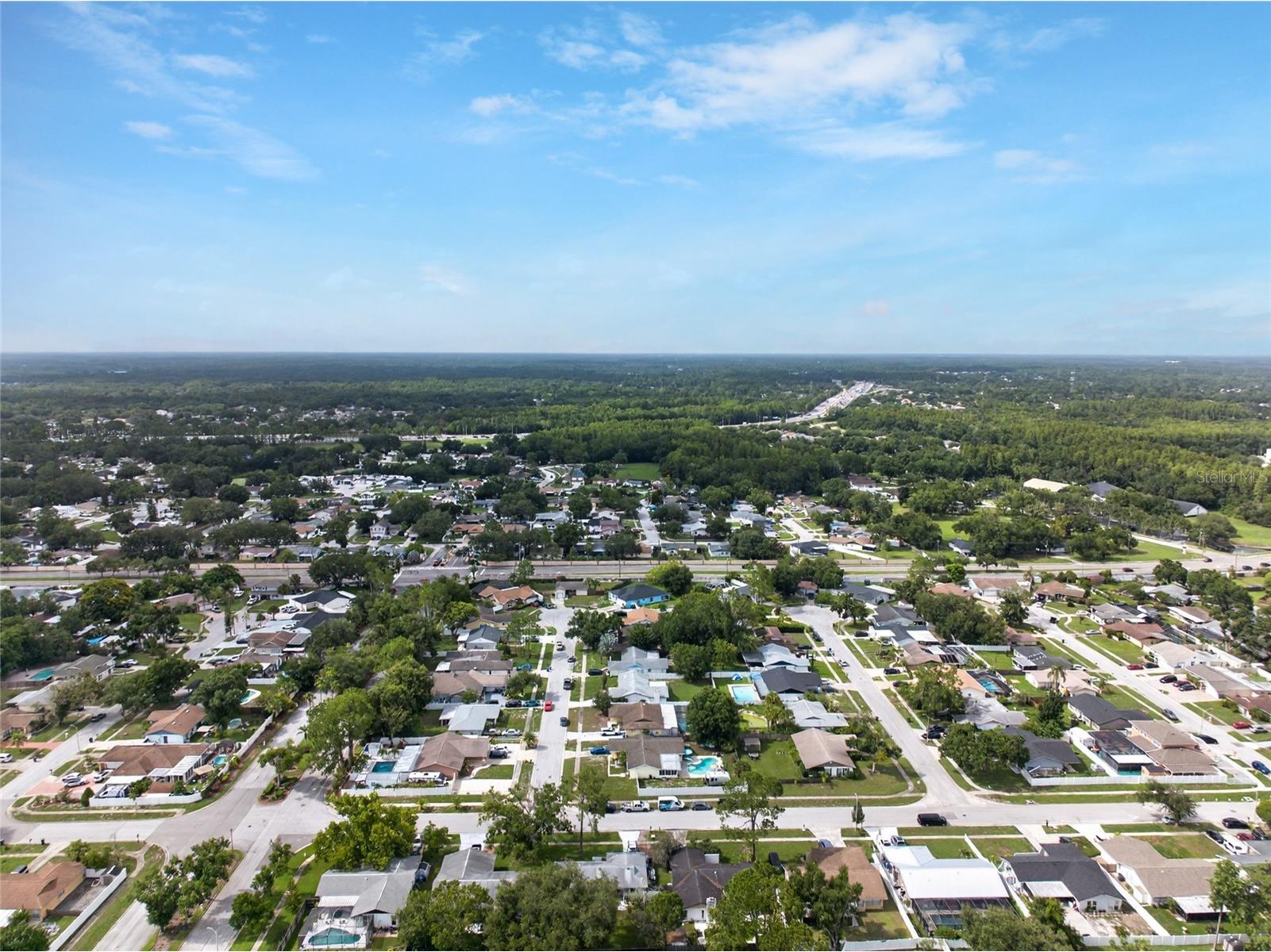 14501 Farm Hills Place Tampa FL 33625 TB8529745 image53