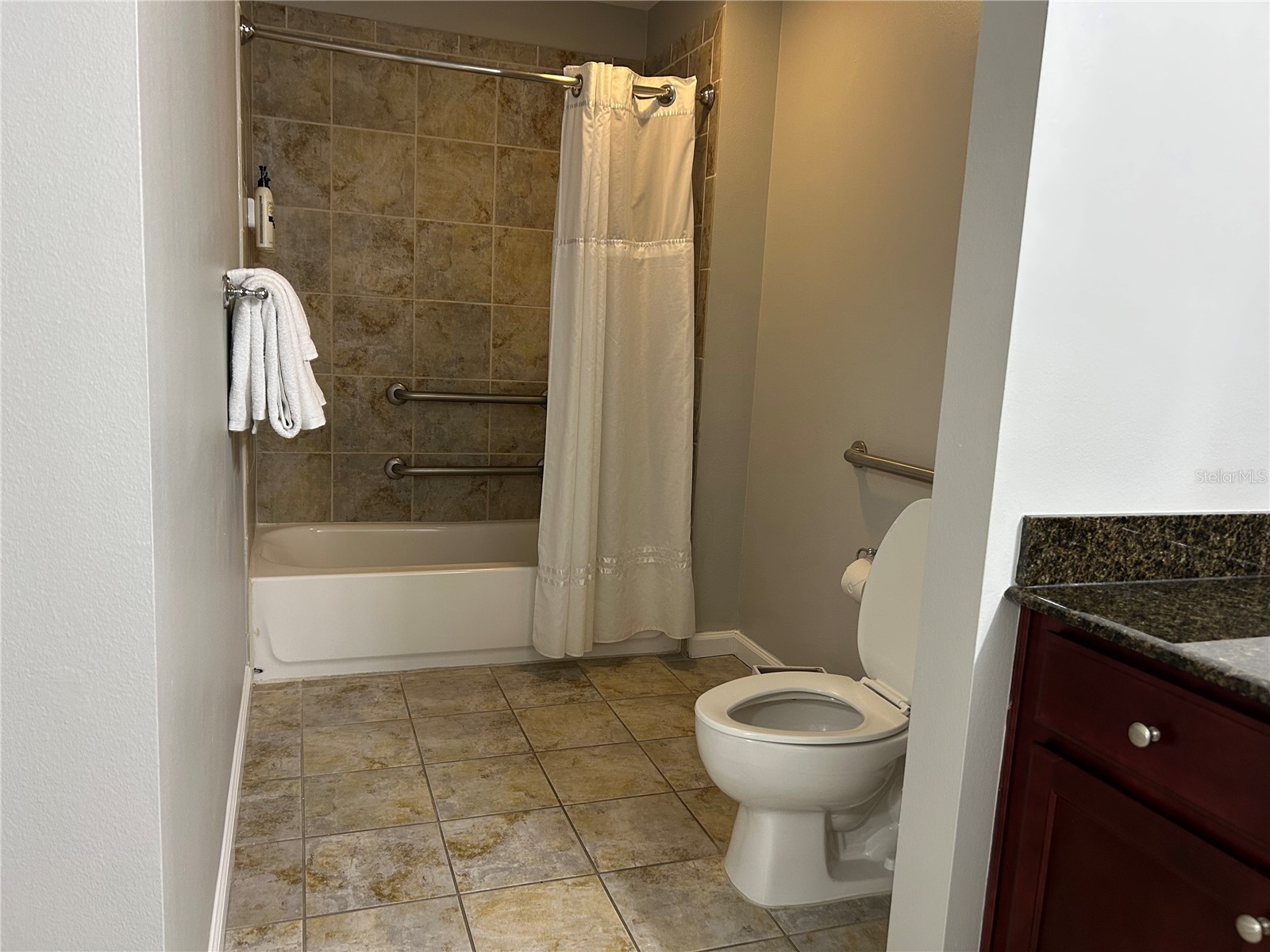 14501 Grove Resort #1409 Winter Garden FL 34787 O6307387 image15