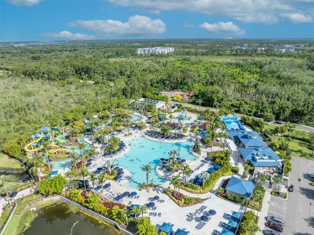 14501 Grove Resort #3540 Winter Garden FL 34787 O6347617 image21