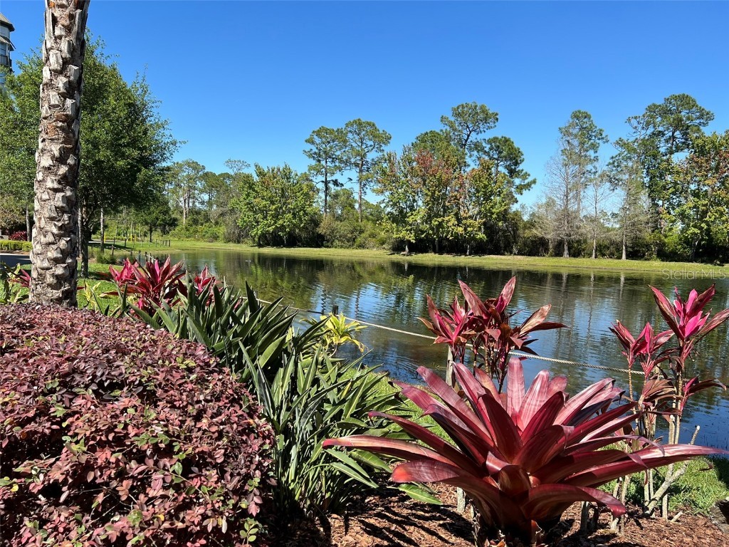 14501 Grove Resort Ave #2138 Winter Garden FL 34787 - LAKE AUSTIN S5123245 image33