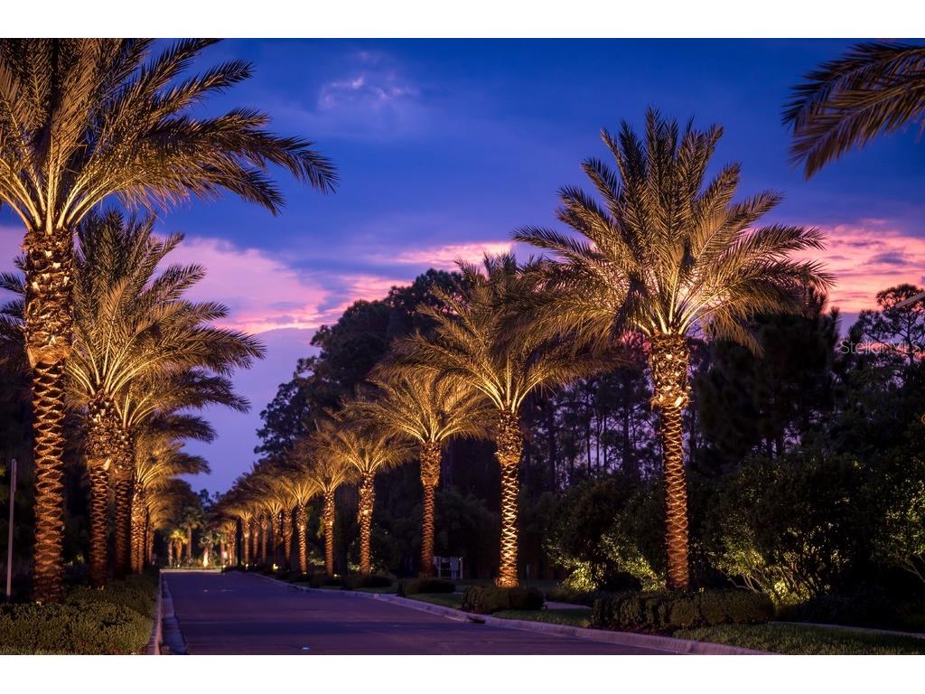 14501 Grove Resort Ave Avenue #2237 Winter Garden FL 34787 - LAKE AUSTIN O6266293 image37