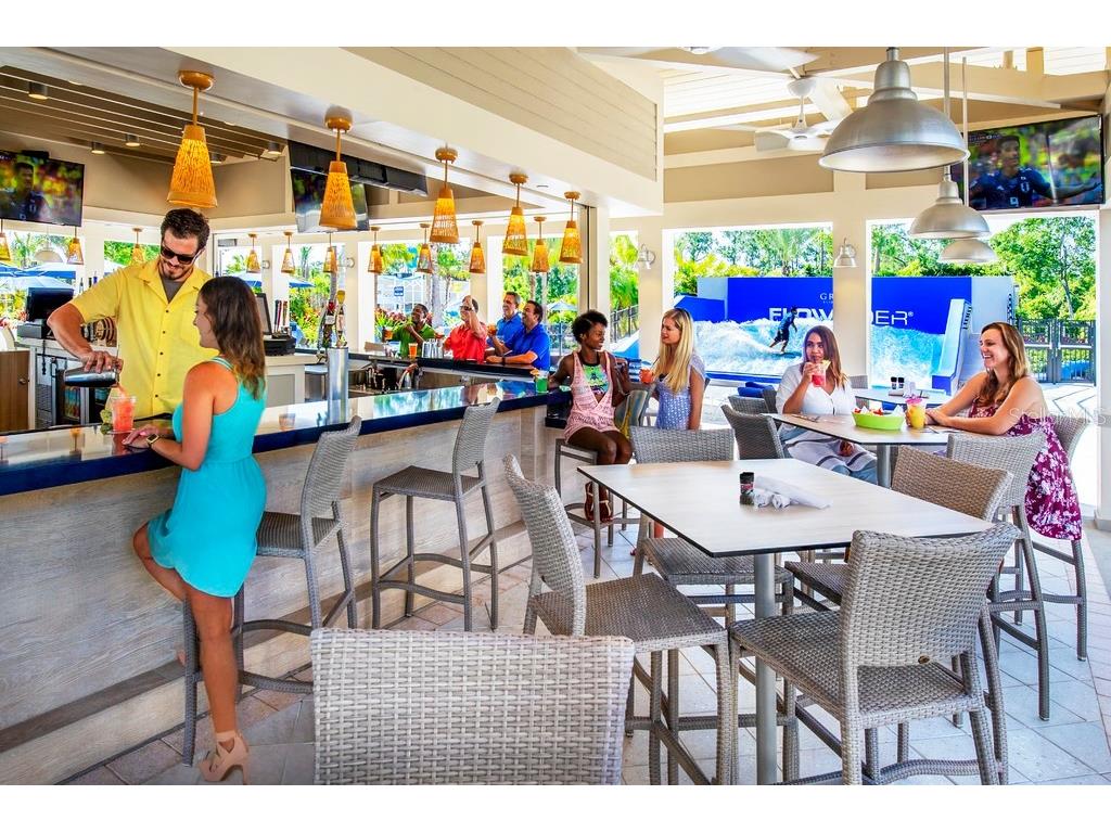 14501 Grove Resort Ave Avenue #2237 Winter Garden FL 34787 - LAKE AUSTIN O6266293 image43