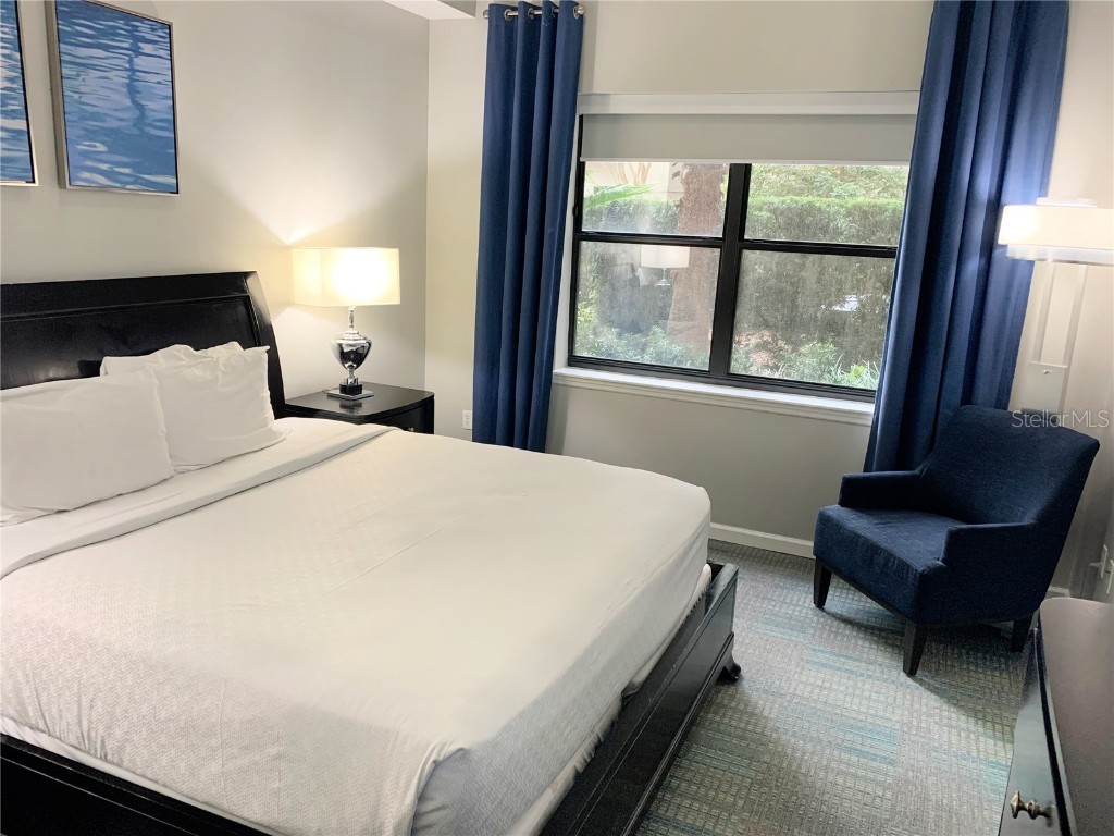 14501 Grove Resort Avenue #1105 Winter Garden FL 34787 - LAKE AUSTIN O6365470 image16