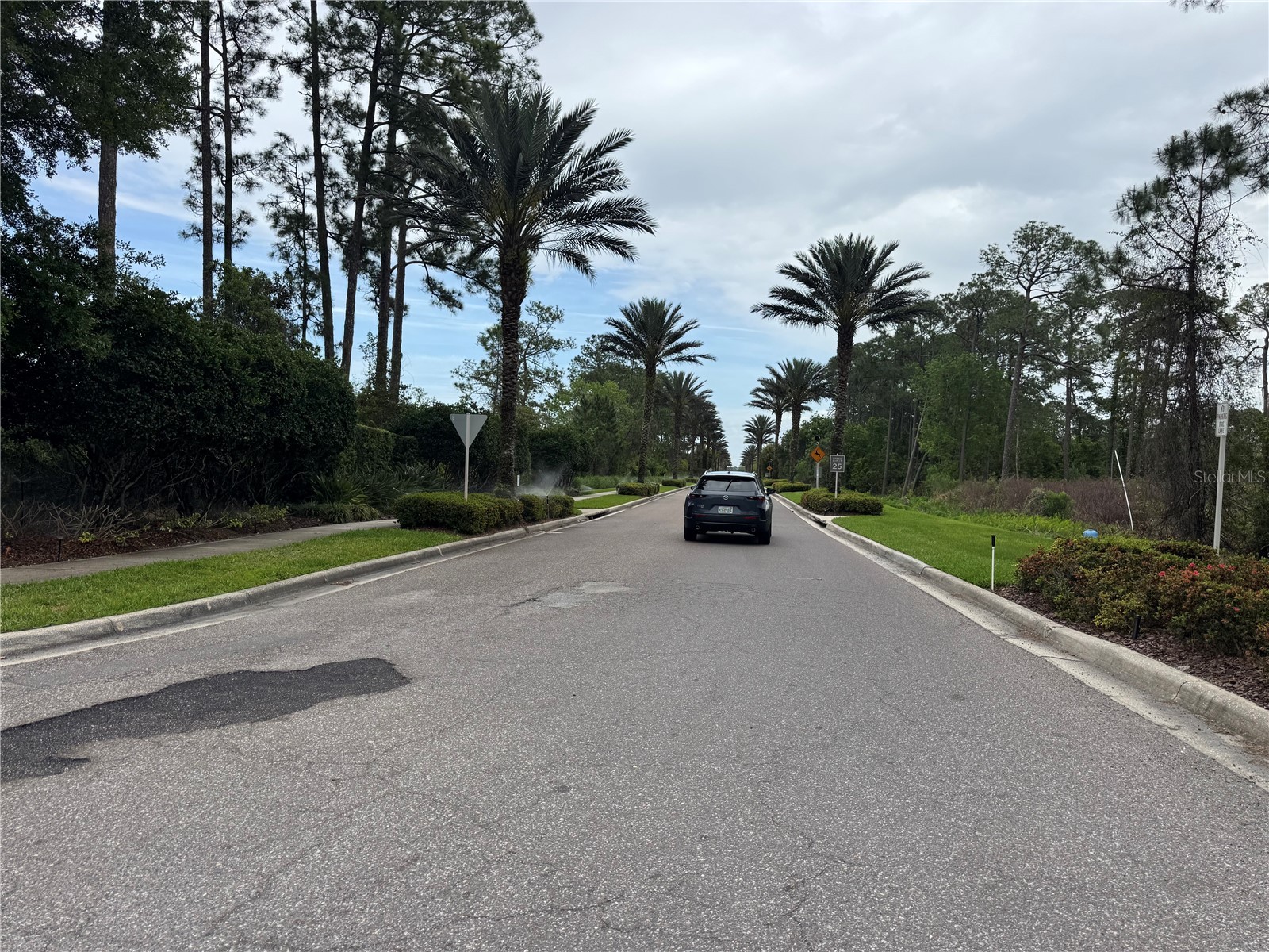 14501 Grove Resort Avenue #1110 Winter Garden FL 34787 A4688528 image34
