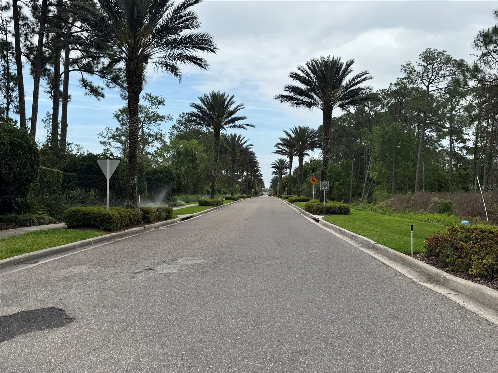 14501 Grove Resort Avenue #1110 Winter Garden FL 34787 A4688528 image35