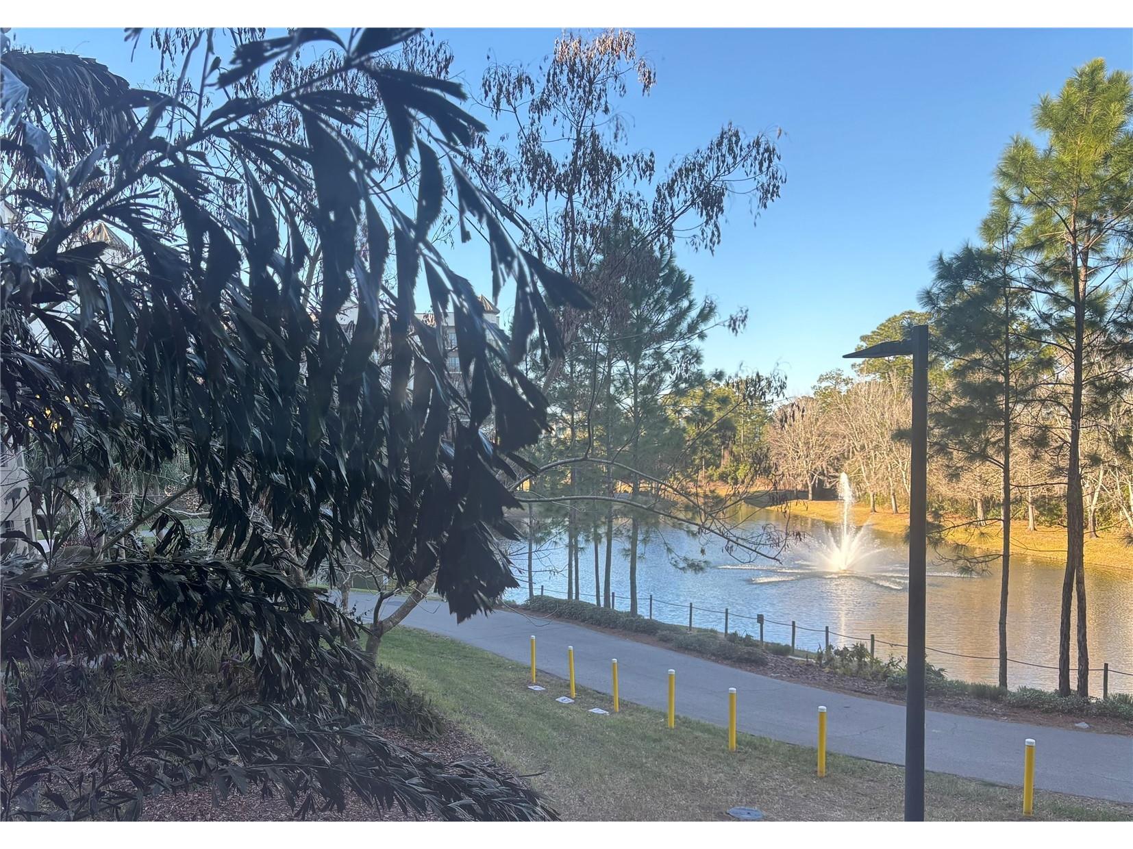 14501 Grove Resort Avenue #1224 Winter Garden FL 34787 S5142326 image16