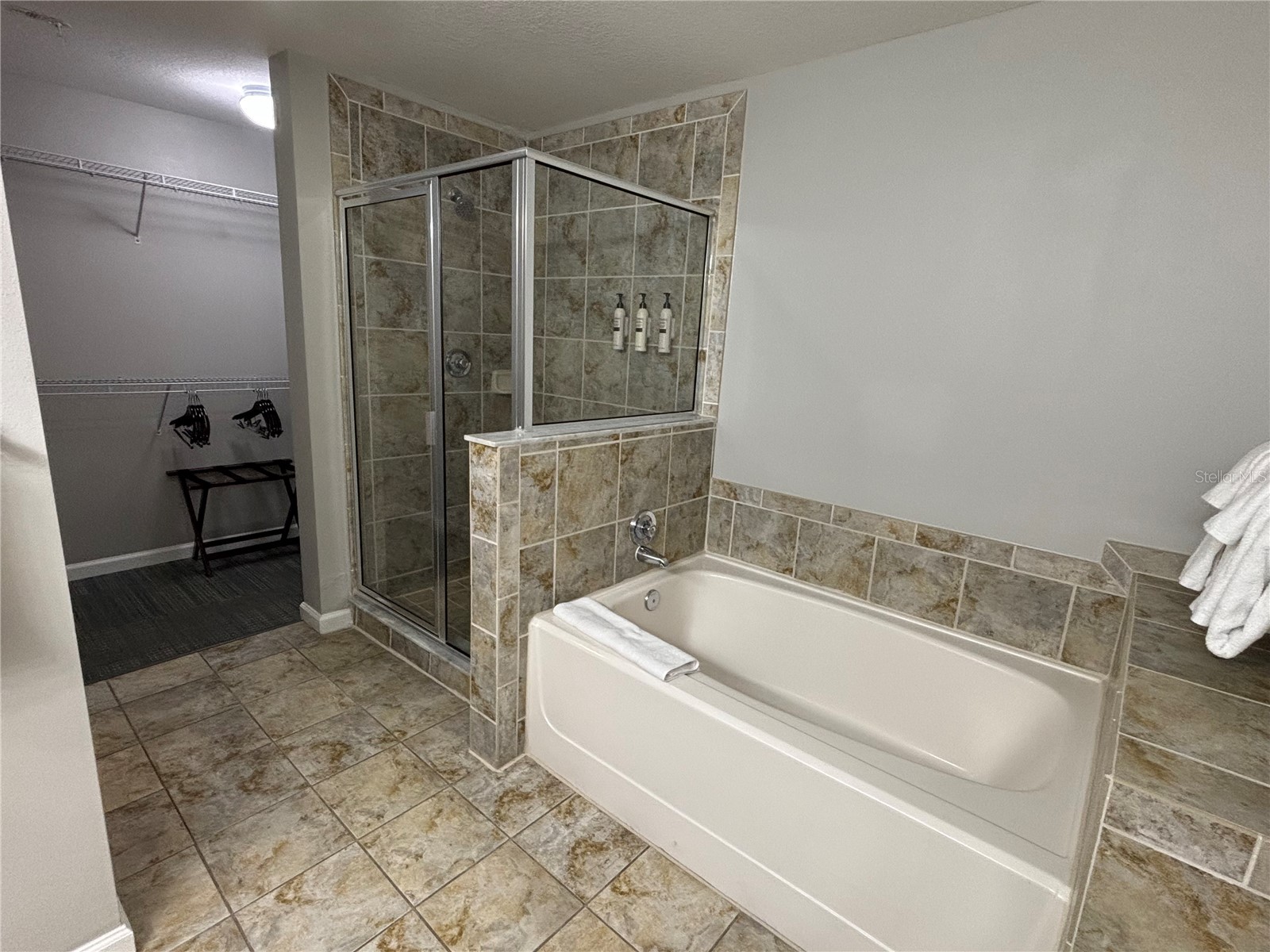 14501 Grove Resort Avenue #1224 Winter Garden FL 34787 S5142326 image22