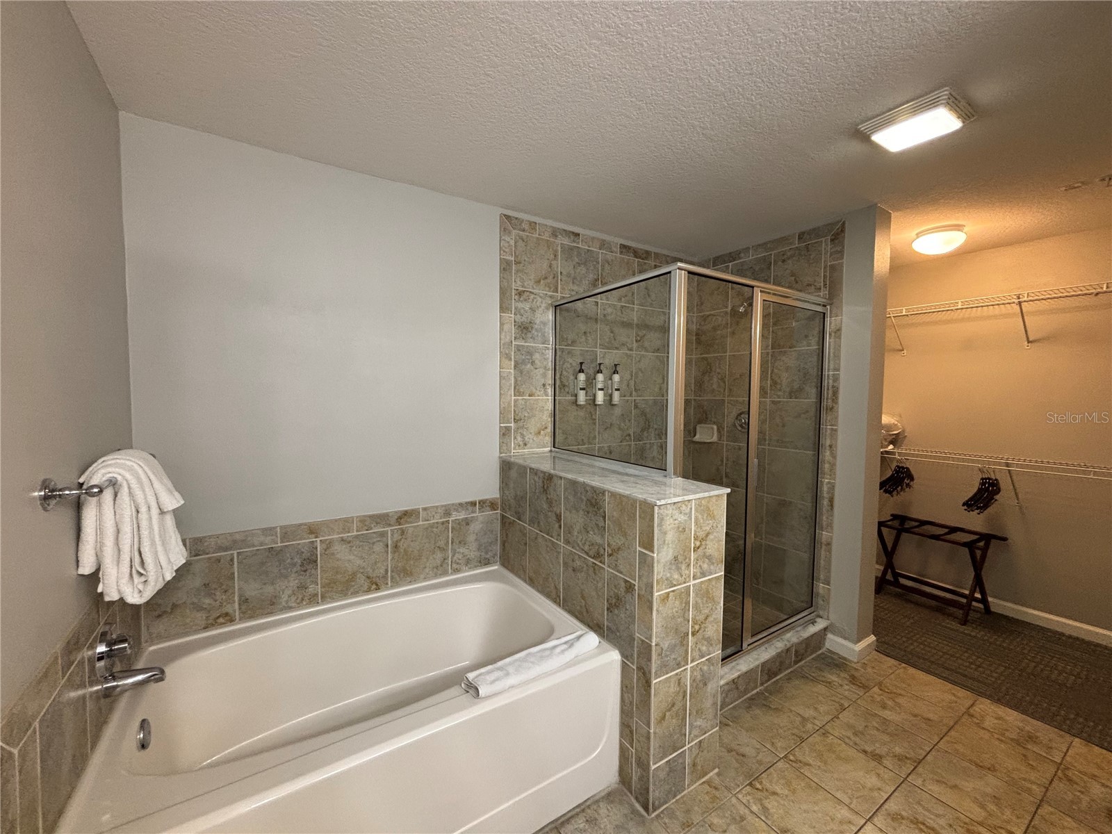 14501 Grove Resort Avenue #1332 Winter Garden FL 34787 S5132222 image17