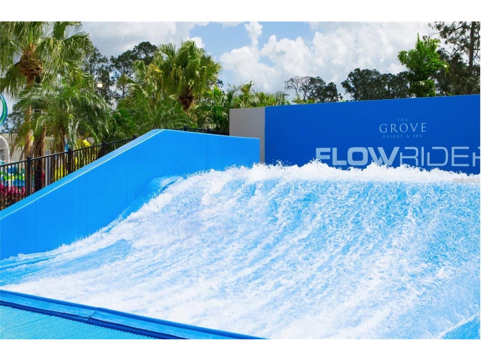 14501 Grove Resort Avenue #1439 Winter Garden FL 34787 O6407410 image17