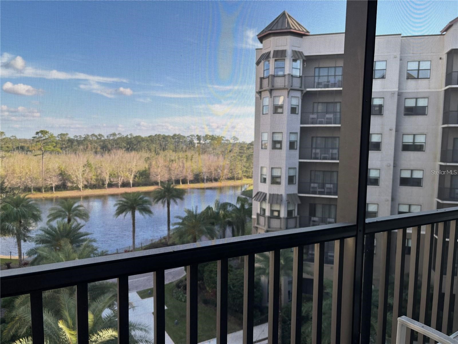 14501 Grove Resort Avenue #1503 Winter Garden FL 34787 S5142327 image21