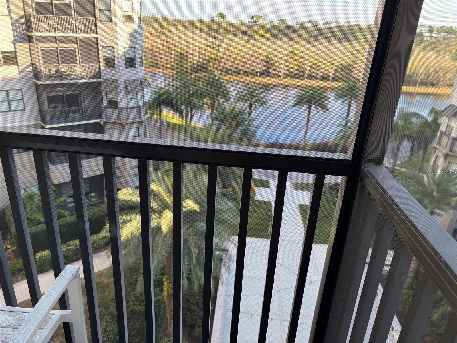 14501 Grove Resort Avenue #1503 Winter Garden FL 34787 S5142327 image23