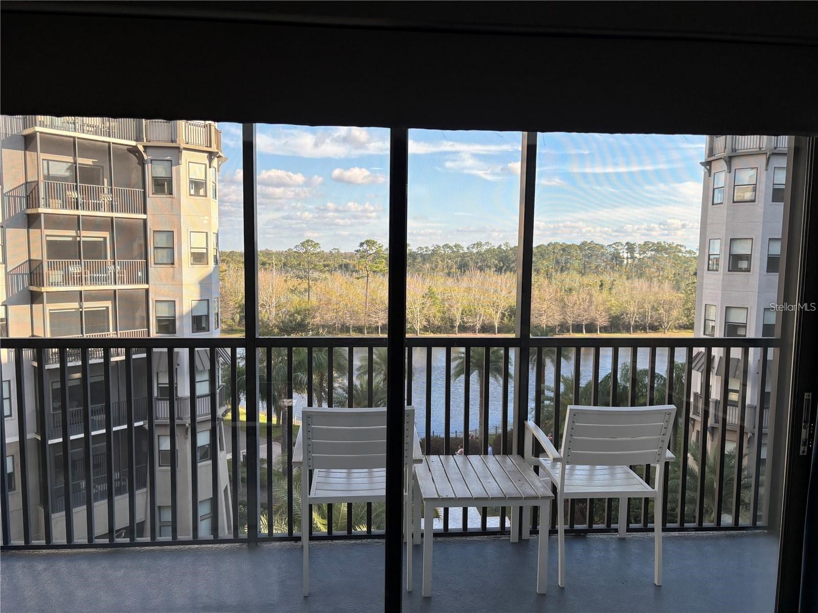 14501 Grove Resort Avenue #1503 Winter Garden FL 34787 S5142327 image24