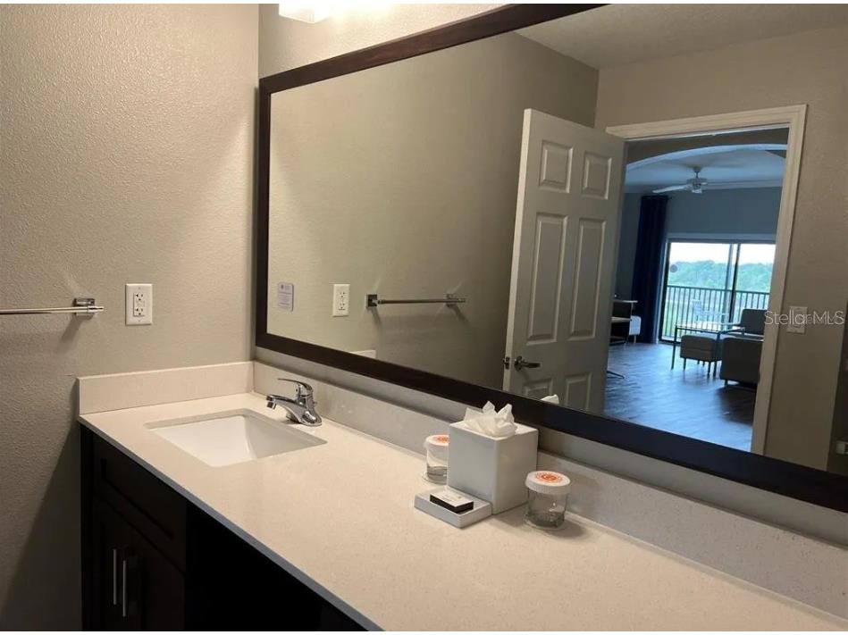 14501 Grove Resort Avenue #1535 Winter Garden FL 34787 TB8447837 image25