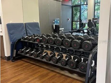 14501 Grove Resort Avenue #1535 Winter Garden FL 34787 TB8447837 image32