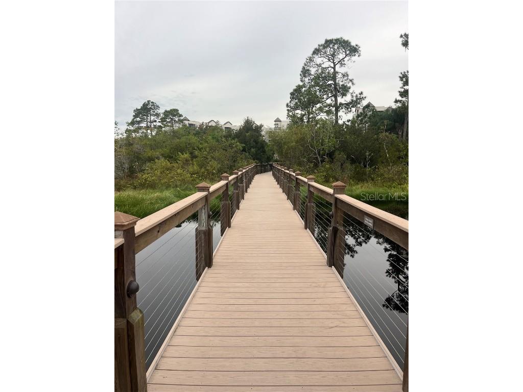 14501 Grove Resort Avenue #1545 Winter Garden FL 34787 O6357793 image40