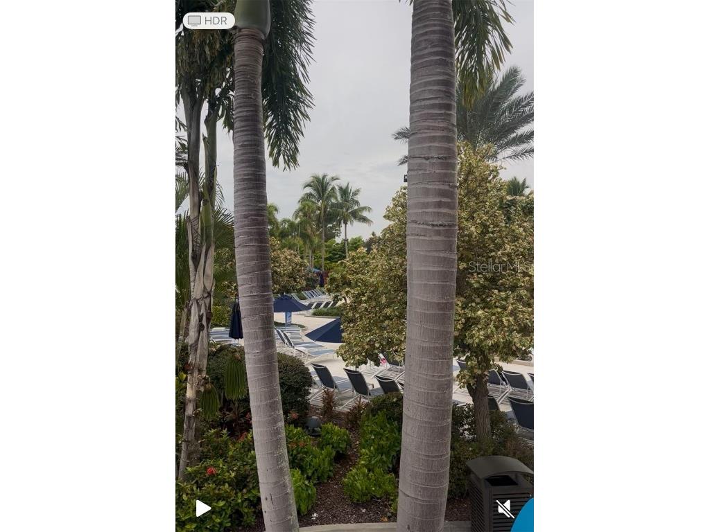 14501 Grove Resort Avenue #1545 Winter Garden FL 34787 O6357793 image43