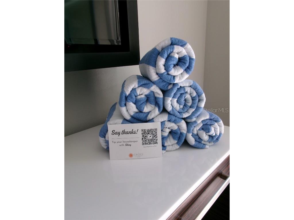 14501 Grove Resort Avenue #1612 Winter Garden FL 34787 - LAKE AUSTIN S5136940 image15