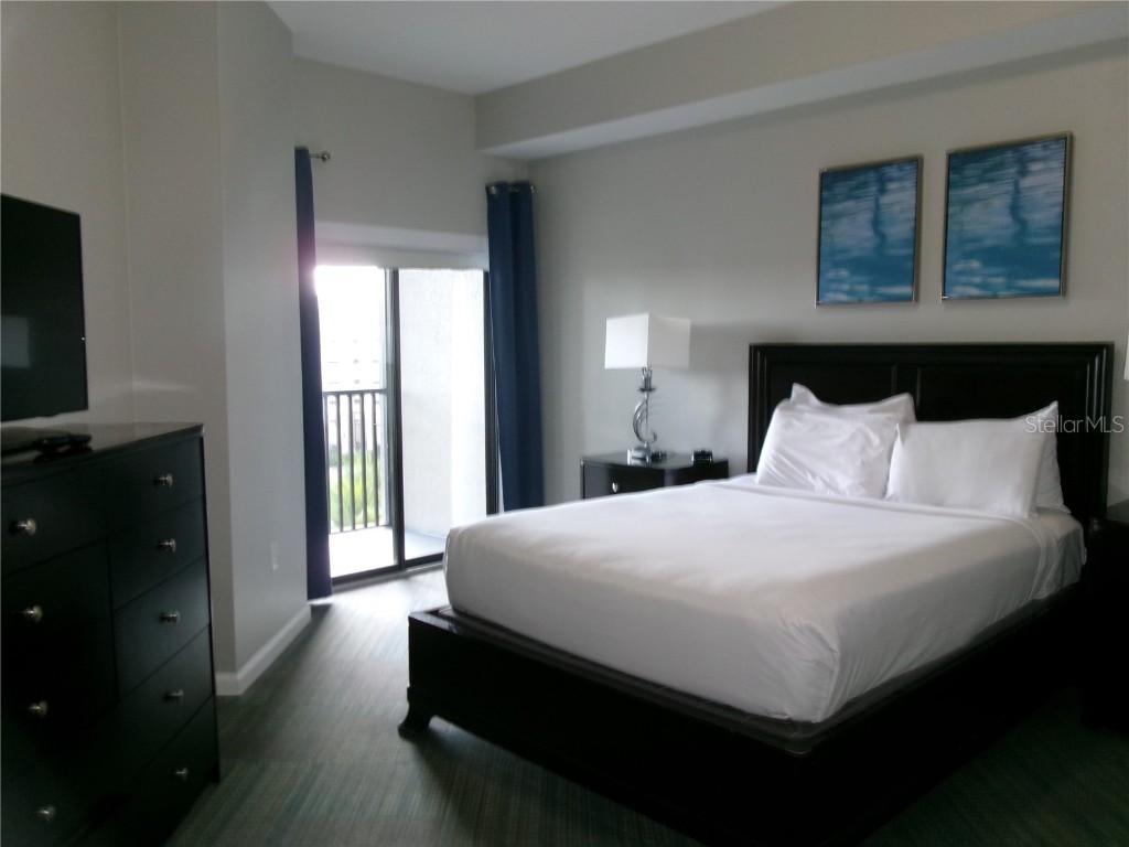 14501 Grove Resort Avenue #1612 Winter Garden FL 34787 - LAKE AUSTIN S5136940 image20