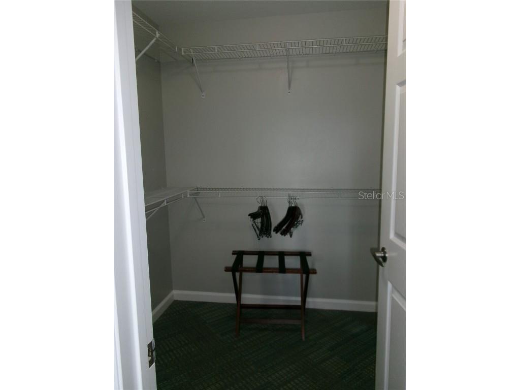 14501 Grove Resort Avenue #1612 Winter Garden FL 34787 - LAKE AUSTIN S5136940 image22