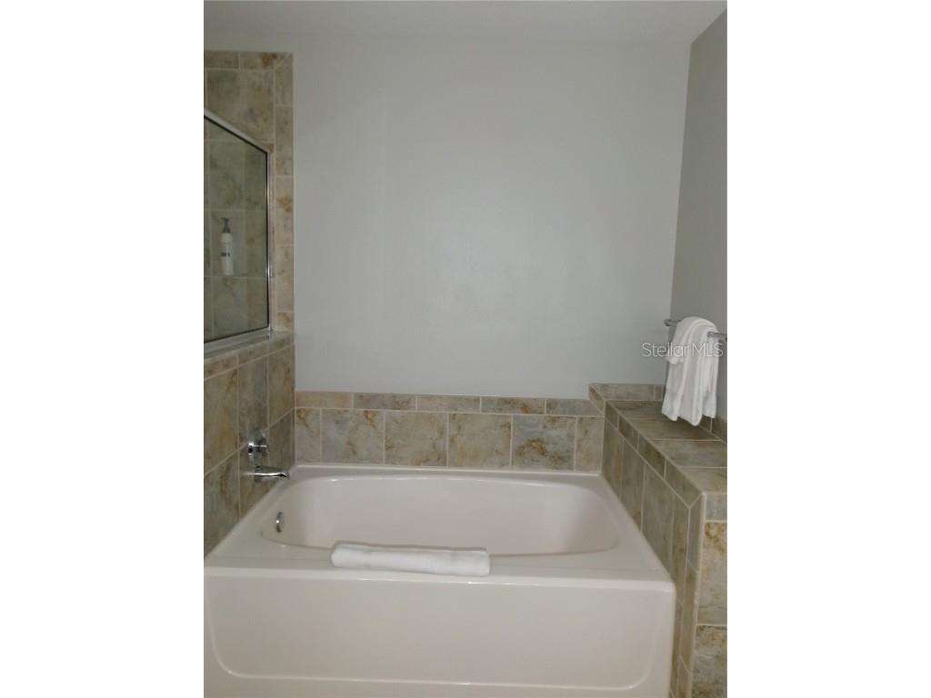 14501 Grove Resort Avenue #1612 Winter Garden FL 34787 - LAKE AUSTIN S5136940 image28