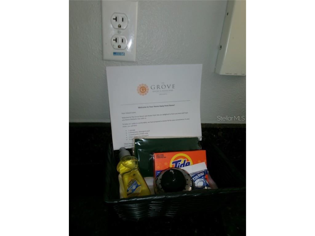 14501 Grove Resort Avenue #1612 Winter Garden FL 34787 - LAKE AUSTIN S5136940 image30