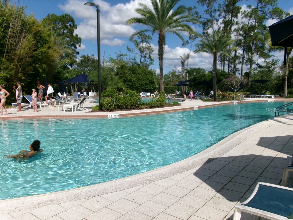 14501 Grove Resort Avenue #1612 Winter Garden FL 34787 - LAKE AUSTIN S5136940 image42