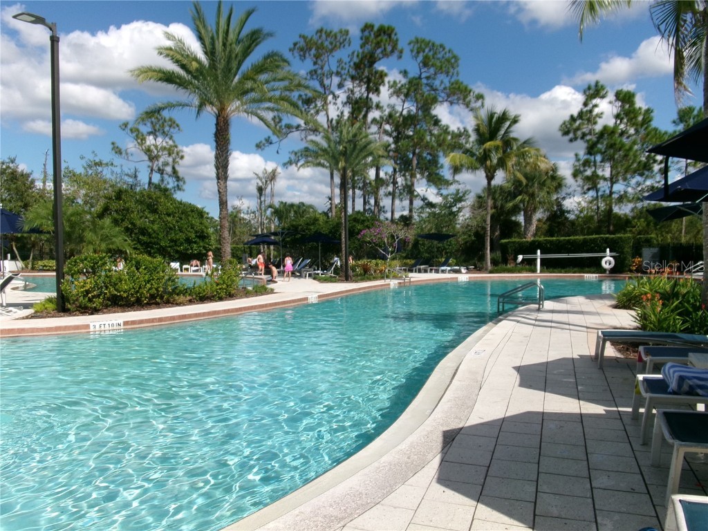 14501 Grove Resort Avenue #1612 Winter Garden FL 34787 - LAKE AUSTIN S5136940 image43