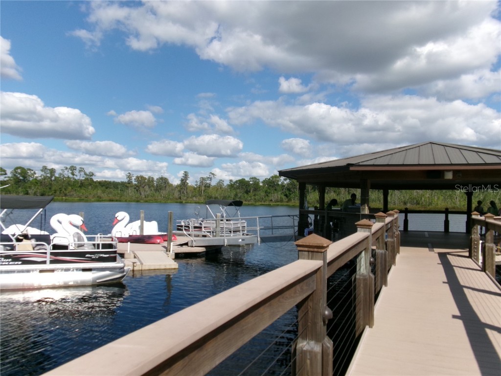 14501 Grove Resort Avenue #1612 Winter Garden FL 34787 - LAKE AUSTIN S5136940 image46