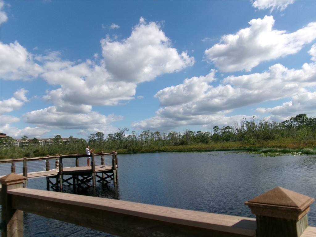 14501 Grove Resort Avenue #1612 Winter Garden FL 34787 - LAKE AUSTIN S5136940 image48