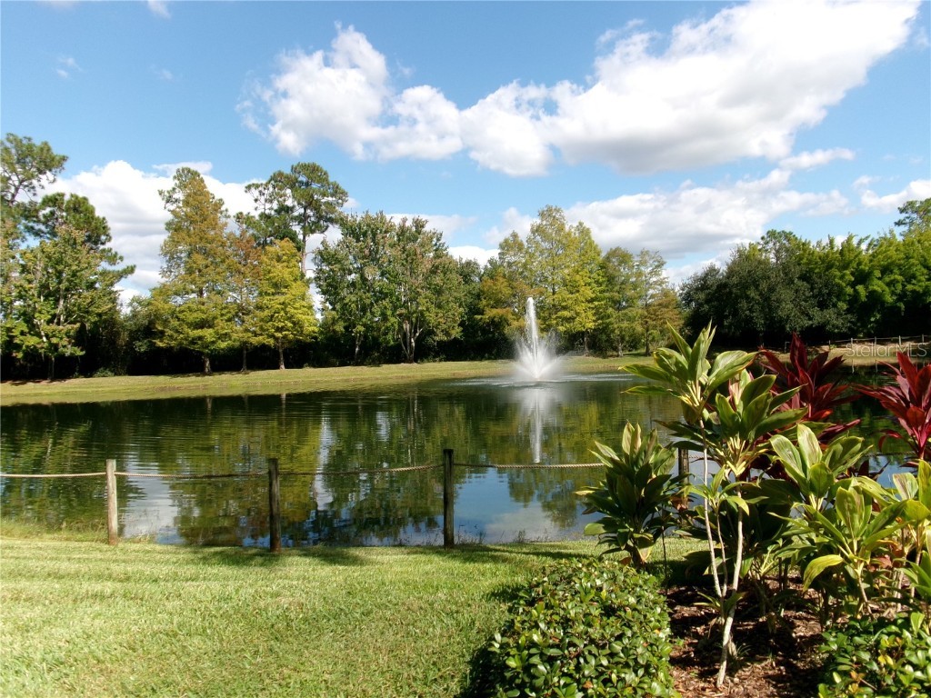 14501 Grove Resort Avenue #1612 Winter Garden FL 34787 - LAKE AUSTIN S5136940 image50