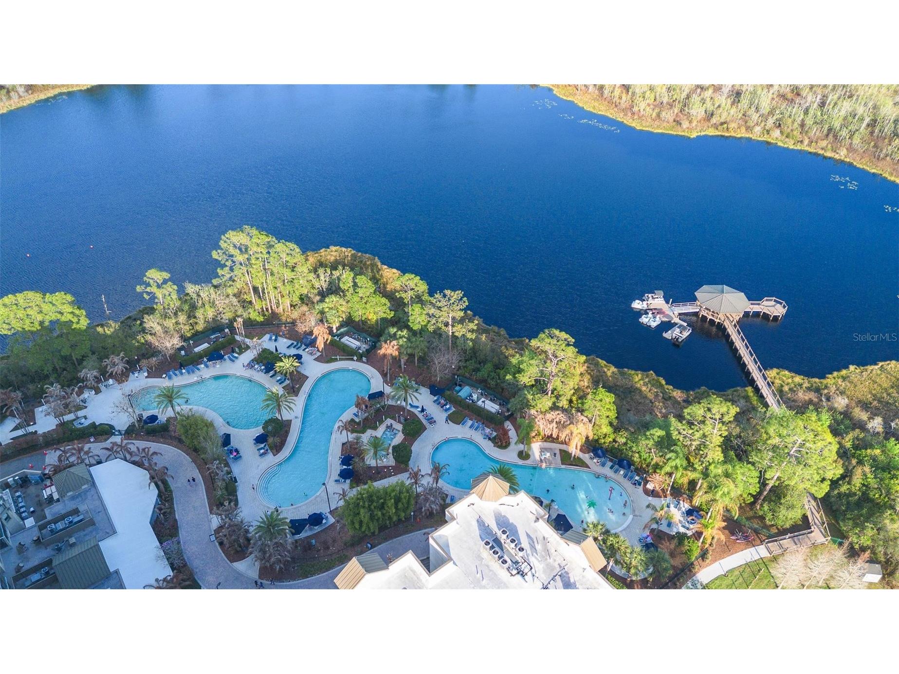 14501 Grove Resort Avenue #1629 Winter Garden FL 34787 S5144771 image49