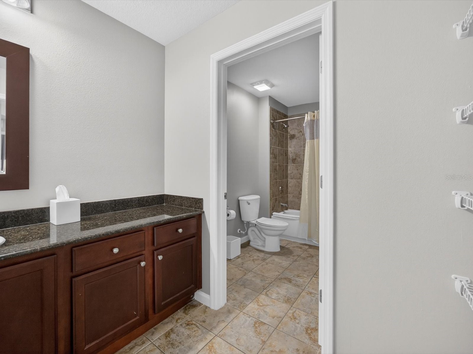 14501 Grove Resort Avenue #1721 Winter Garden FL 34787 O6397131 image18