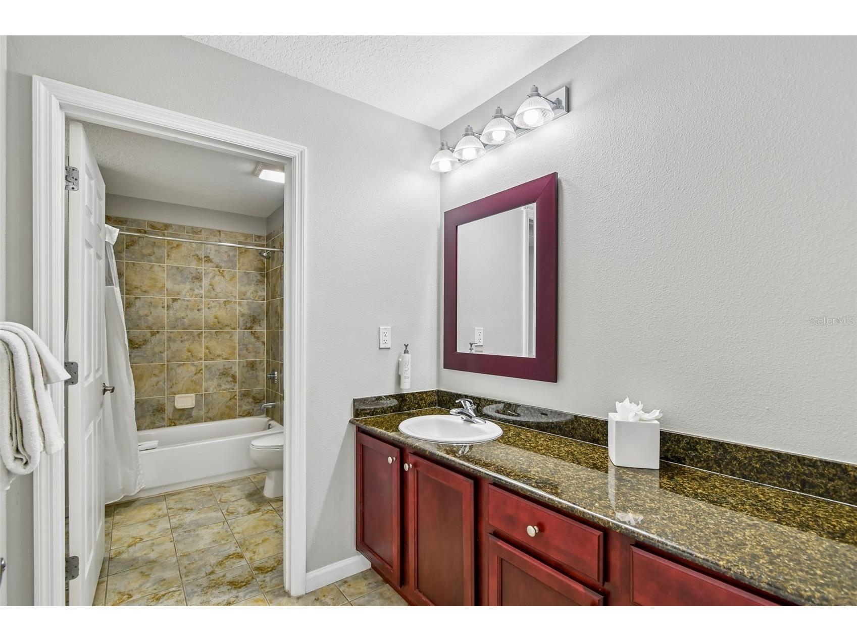 14501 Grove Resort Avenue #1732 Winter Garden FL 34787 O6388585 image26