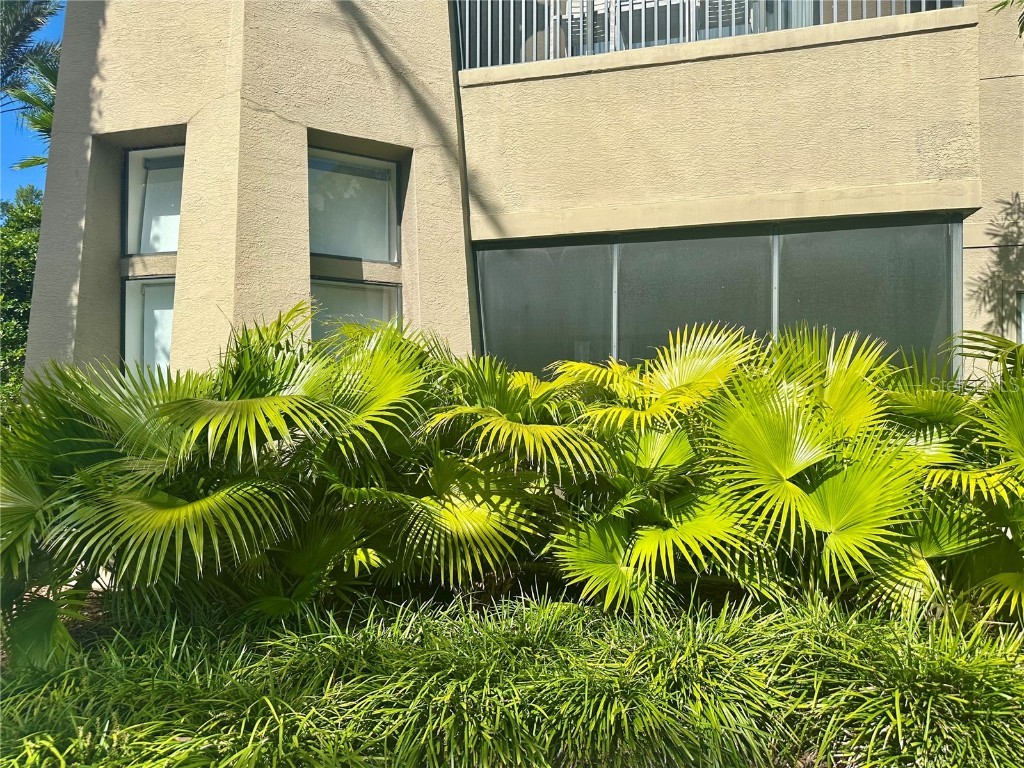 14501 Grove Resort Avenue #2101 Winter Garden FL 34787 - LAKE AUSTIN O6353080 image28