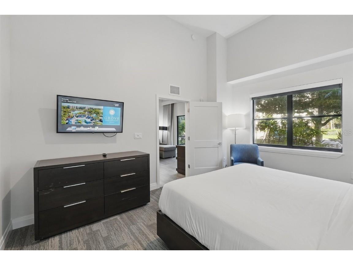 14501 Grove Resort Avenue #2103 Winter Garden FL 34787 O6300605 image20